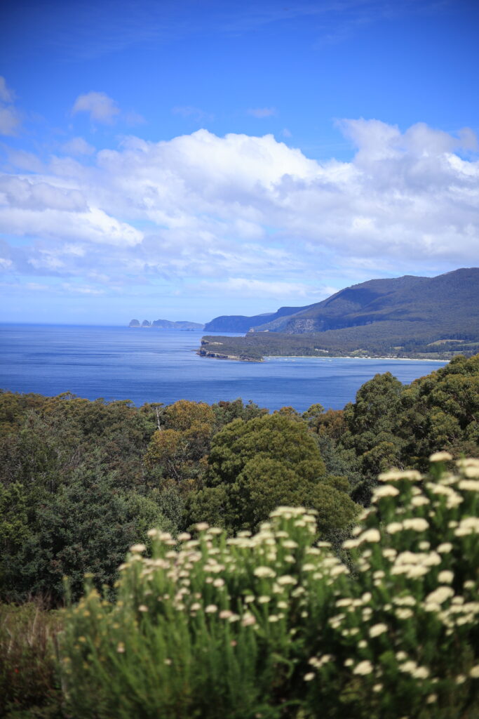 Tasman Peninsula Day Tours
