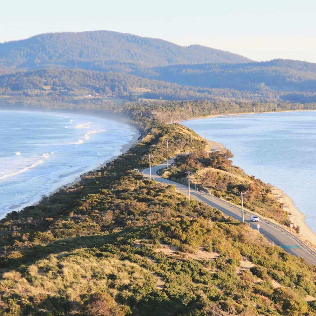 Bruny Island Day Tours